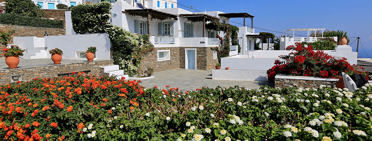 Blossoming garden at hotel Petali in Sifnos